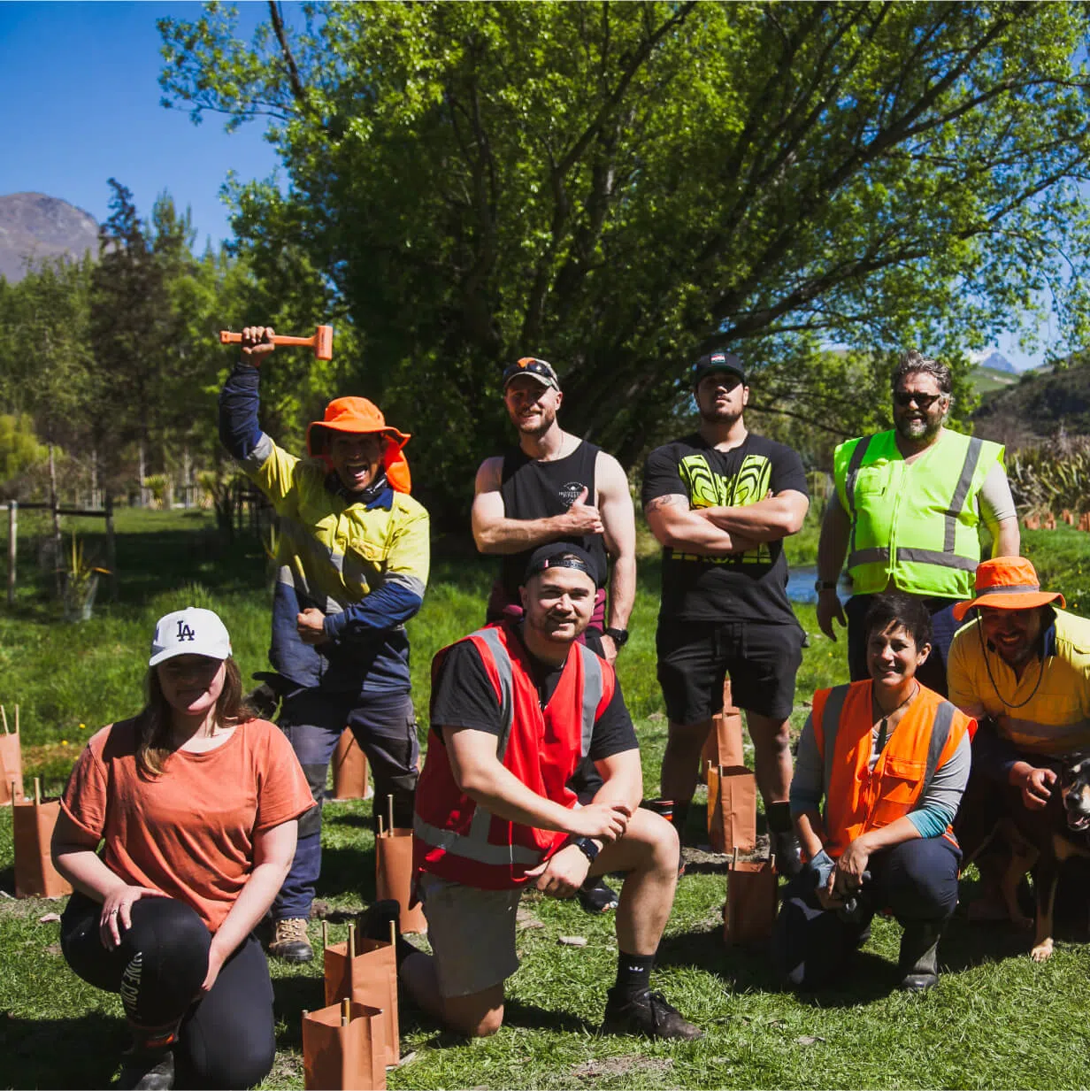 Environmental Restoration and Pest Control Services Queenstown Mana